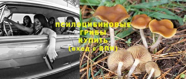 винт Богородск