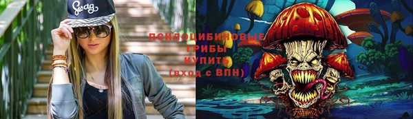 mdma Богородицк