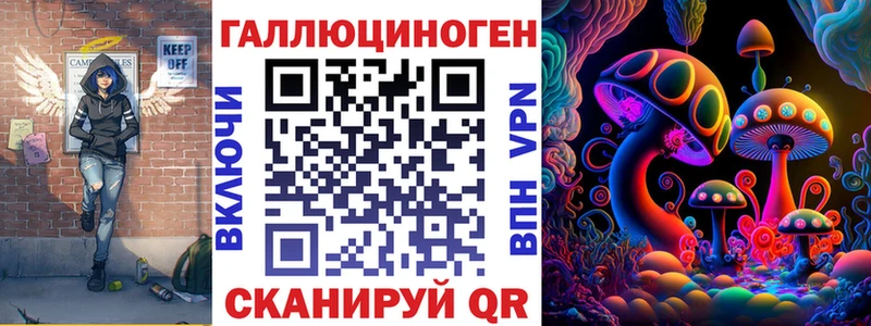 Галлюциногенные грибы Psilocybe  OMG как войти  Мезень 